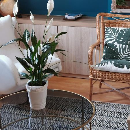 Apartament Magnifique Deux Pieces Au Calme Deauville Zewnętrze zdjęcie